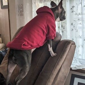 Meet your Posher, Donna